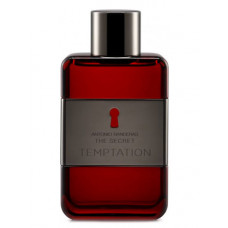 Perfume The Secret Temptation for Men EDT 100ml